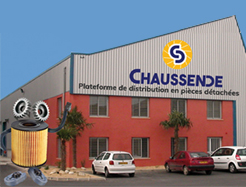 Chaussende2017