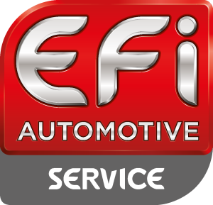 LOGO-EFI-service-ok1